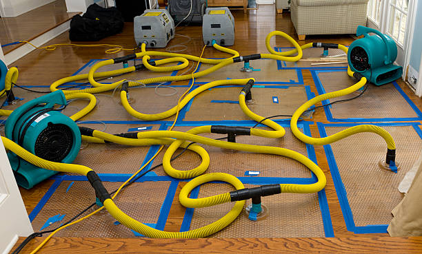 Professional Water Damage Repair technician working in Pineville, SC